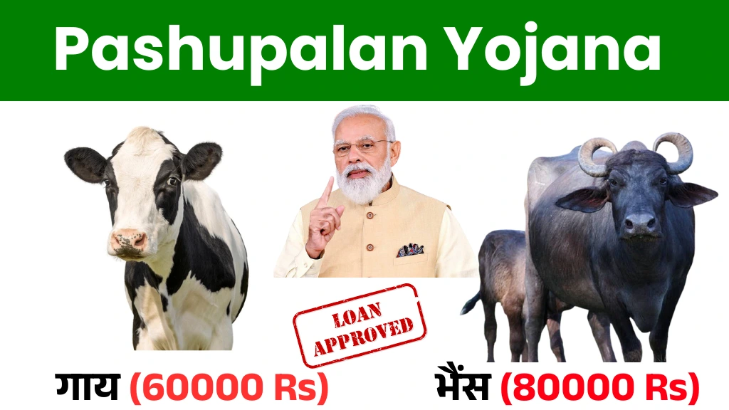 Pashupalan Yojana 2025